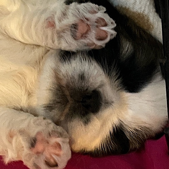 Meet your Posher, Denise - Picture 10 of 16